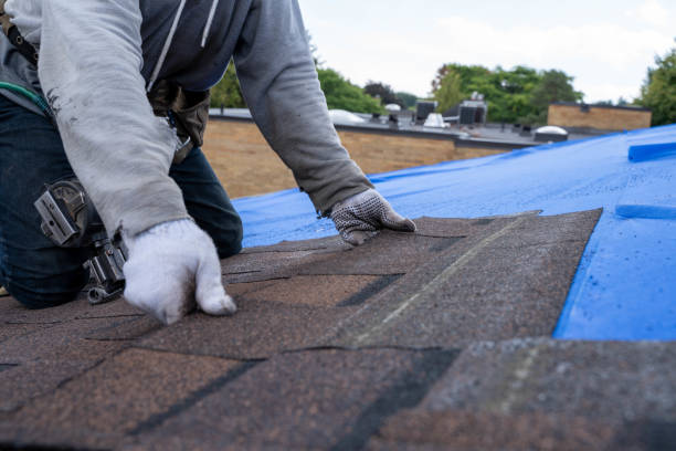 Best Roof Coating and Sealing  in Fivepointville, PA