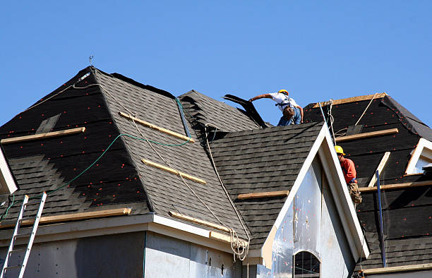 Best Roof Moss and Algae Removal  in Fivepointville, PA